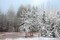 Frosty Morning Poster Print by Mike Jones - Item # VARPDXJMP324